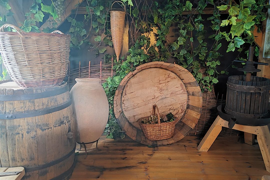 Тазы и корзины для сбора винограда