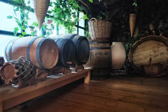 История виноделия